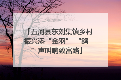 五河县东刘集镇乡村振兴添“金羽” “鸽”声叫响致富路