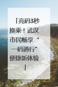 亮码3秒换乘！武汉市民畅享“一码通行”便捷新体验