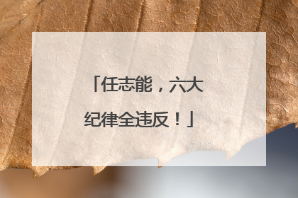 任志能，六大纪律全违反！
