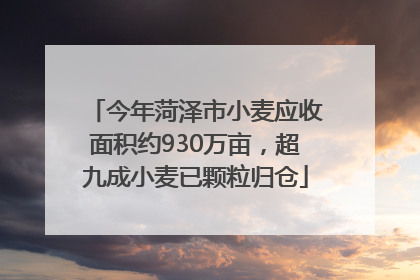 今年菏泽市小麦应收面积约930万亩，超九成小麦已颗粒归仓