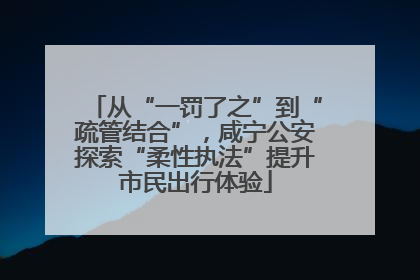 从“一罚了之”到“疏管结合”，咸宁公安探索“柔性执法”提升市民出行体验