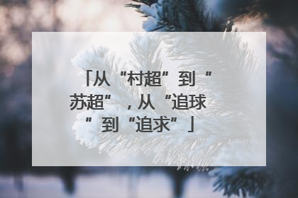 从“村超”到“苏超”，从“追球”到“追求”