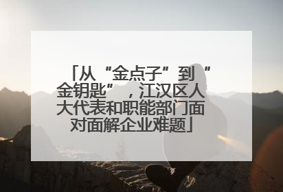 从“金点子”到“金钥匙”，江汉区人大代表和职能部门面对面解企业难题