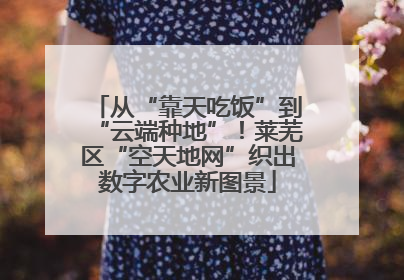 从“靠天吃饭”到“云端种地”！莱芜区“空天地网”织出数字农业新图景