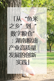 从“鱼米之乡”到“数字粮仓”：湖南粮油产业高质量发展的创新实践