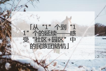 从“1”个到“11”个的延续——感受“社区+园区”中的民族团结情