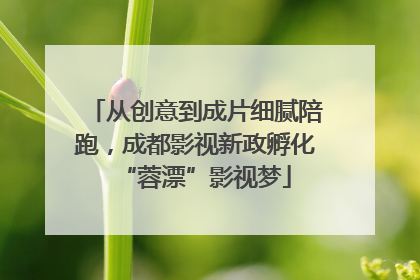 从创意到成片细腻陪跑，成都影视新政孵化“蓉漂”影视梦