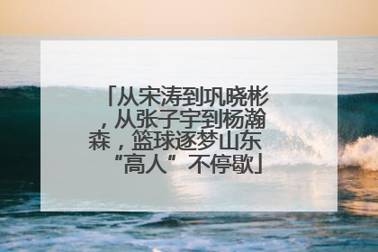 从宋涛到巩晓彬，从张子宇到杨瀚森，篮球逐梦山东“高人”不停歇
