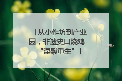 从小作坊到产业园，非遗史口烧鸡“涅槃重生”
