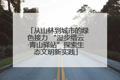 从山林到城市的绿色接力 “漫步缙云·青山驿站”探索生态文明新实践