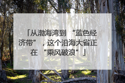 从渤海湾到 “蓝色经济带”，这个沿海大省正在 “乘风破浪”