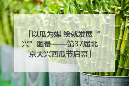 以瓜为媒 绘就发展“兴”图景——第37届北京大兴西瓜节启幕