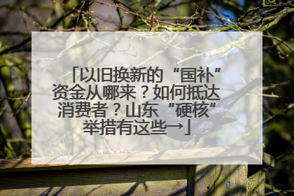 以旧换新的“国补”资金从哪来？如何抵达消费者？山东“硬核”举措有这些→