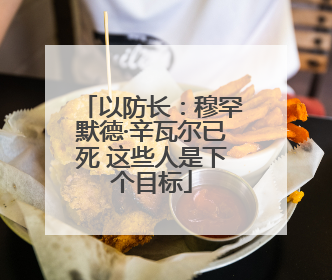 以防长：穆罕默德·辛瓦尔已死 这些人是下个目标