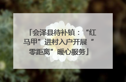 会泽县待补镇：“红马甲”进村入户开展“零距离”暖心服务