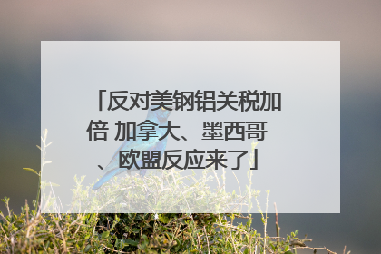 反对美钢铝关税加倍 加拿大、墨西哥、欧盟反应来了