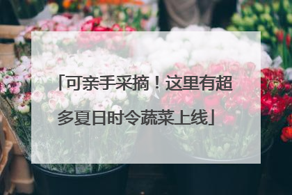 可亲手采摘！这里有超多夏日时令蔬菜上线