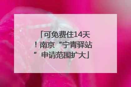 可免费住14天！南京“宁青驿站”申请范围扩大