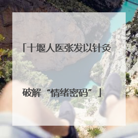 十堰人医张发以针灸破解“情绪密码”