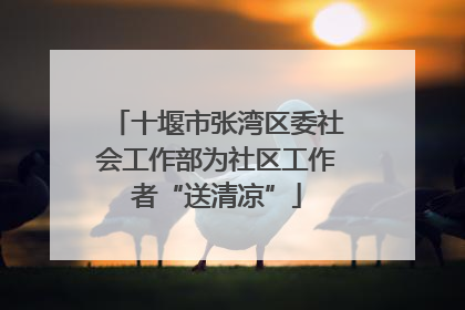 十堰市张湾区委社会工作部为社区工作者“送清凉”