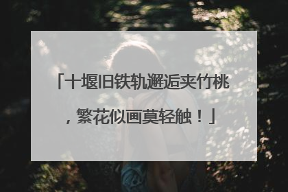 十堰旧铁轨邂逅夹竹桃，繁花似画莫轻触！