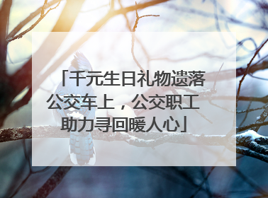 千元生日礼物遗落公交车上，公交职工助力寻回暖人心