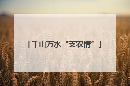 千山万水“支农情”