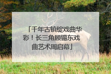 千年古镇绽戏曲华彩！长三角顾锡东戏曲艺术周启幕