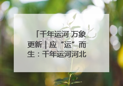 千年运河 万象更新｜应“运”而生：千年运河河北沧州段展新颜