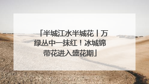 半城江水半城花丨万绿丛中一抹红！冰城锦带花进入盛花期