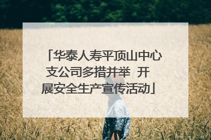 华泰人寿平顶山中心支公司多措并举  开展安全生产宣传活动