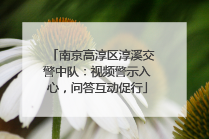 南京高淳区淳溪交警中队：视频警示入心，问答互动促行