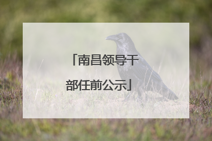 南昌领导干部任前公示