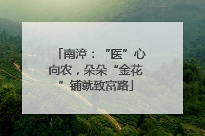 南漳：“医”心向农，朵朵“金花”铺就致富路