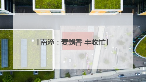 南漳：麦飘香 丰收忙
