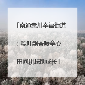 南通崇川幸福街道：粽叶飘香暖童心 田间耕耘助成长