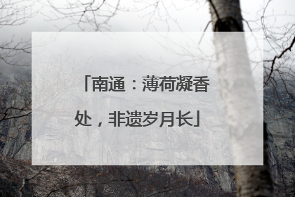 南通：薄荷凝香处，非遗岁月长