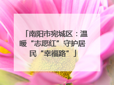 南阳市宛城区：温暖“志愿红”守护居民“幸福路”
