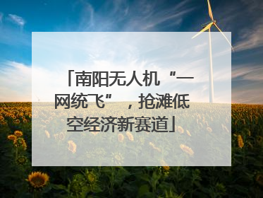 南阳无人机“一网统飞”，抢滩低空经济新赛道