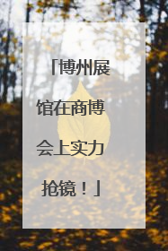 博州展馆在商博会上实力抢镜！