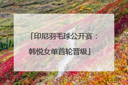 印尼羽毛球公开赛：韩悦女单首轮晋级