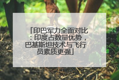 印巴军力全面对比：印度占数量优势，巴基斯坦技术与飞行员素质更强