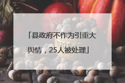 县政府不作为引重大舆情，25人被处理