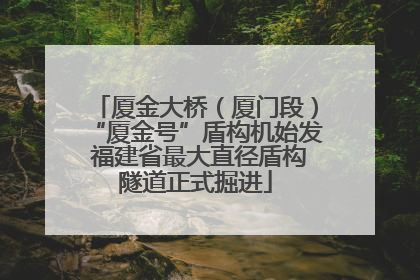 厦金大桥（厦门段）“厦金号”盾构机始发 福建省最大直径盾构隧道正式掘进