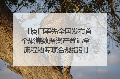 厦门率先全国发布首个聚焦数据资产登记全流程的专项合规指引