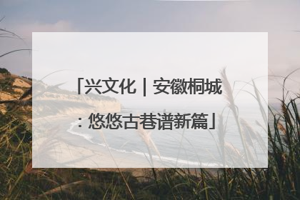 兴文化｜安徽桐城：悠悠古巷谱新篇