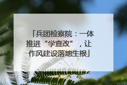 兵团检察院：一体推进“学查改”，让作风建设落地生根