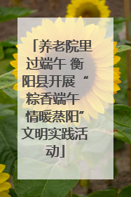 养老院里过端午 衡阳县开展“粽香端午 情暖蒸阳”文明实践活动