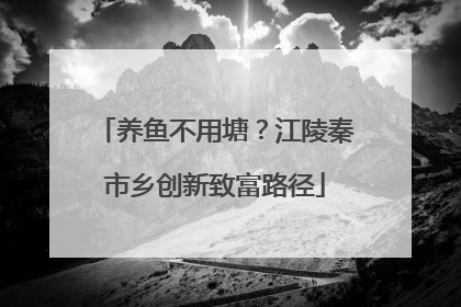 养鱼不用塘?江陵秦市乡创新致富路径