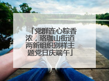 党群连心粽香浓，珞珈山街道两新组织别样主题党日庆端午